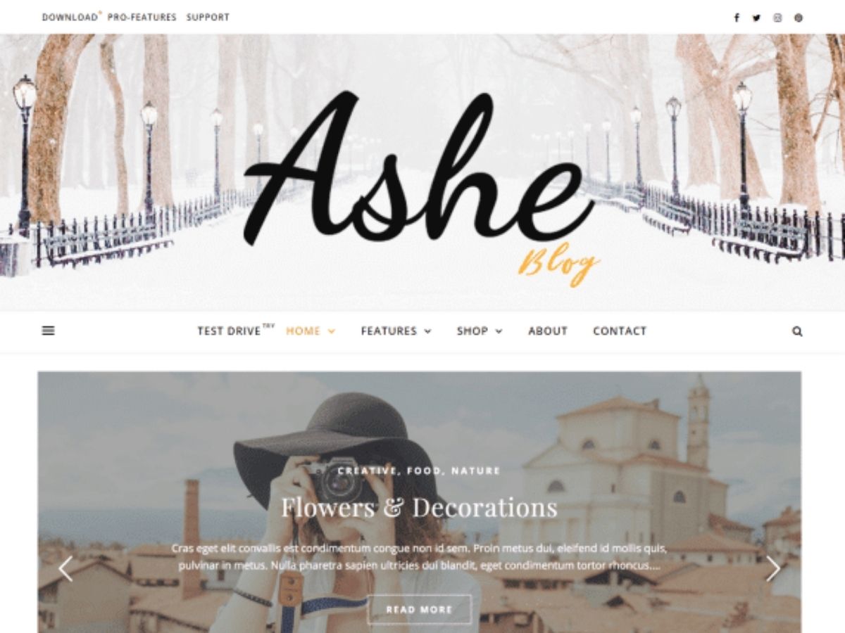 Ashe free wordpress theme