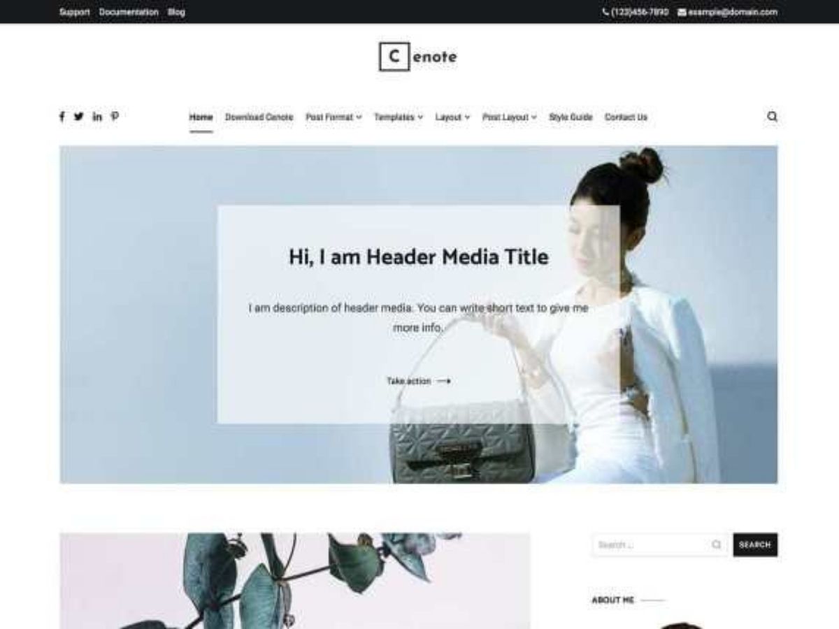 Cenote free WordPress theme