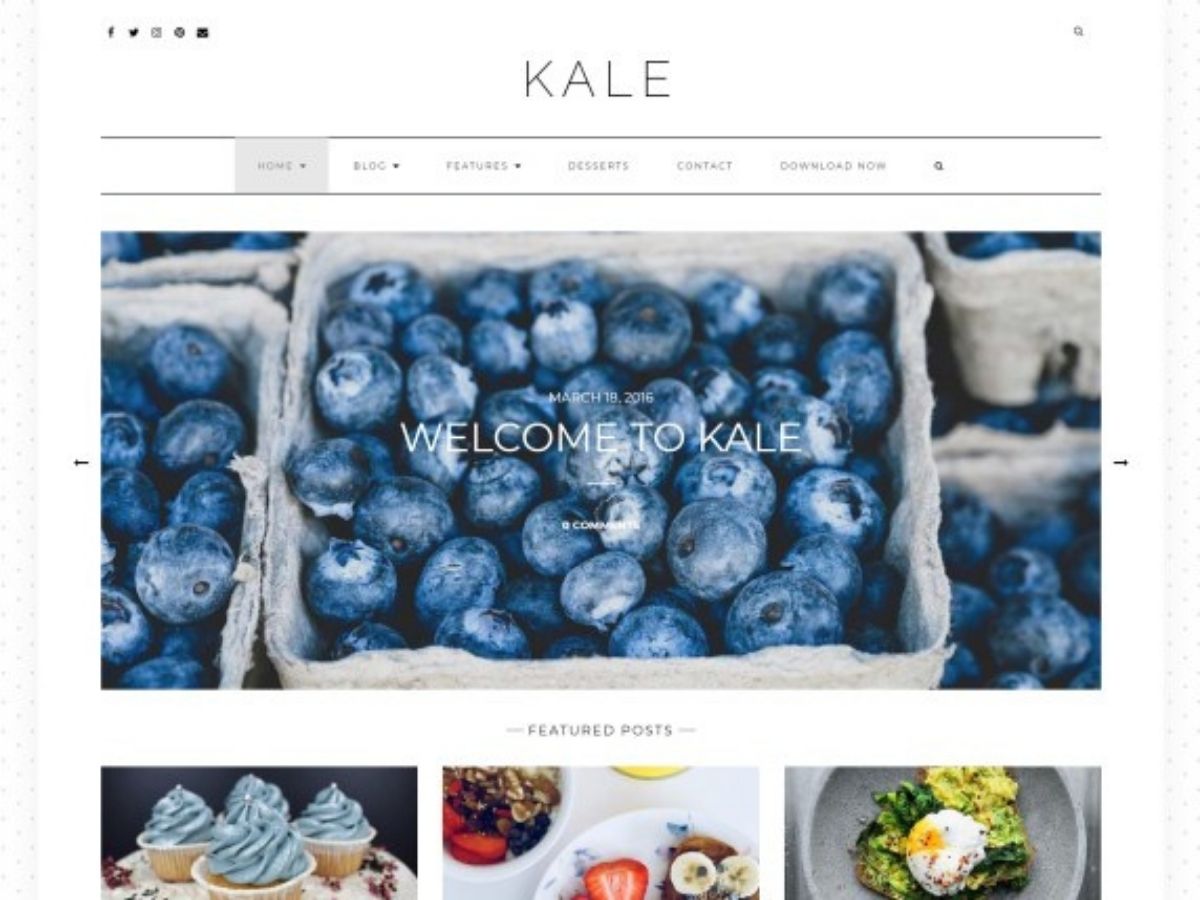Kale free WordPress theme