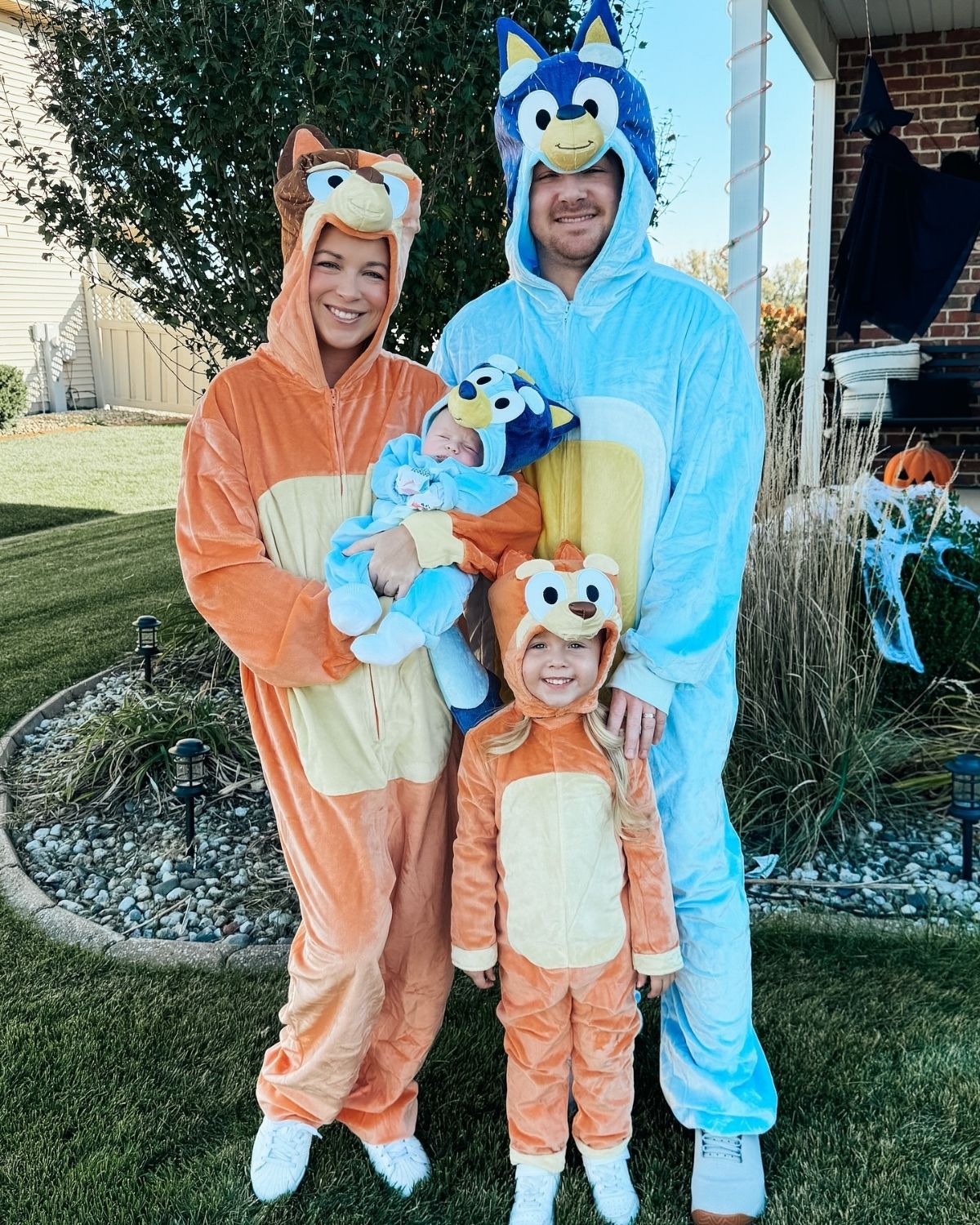 Bluey Family Costumes