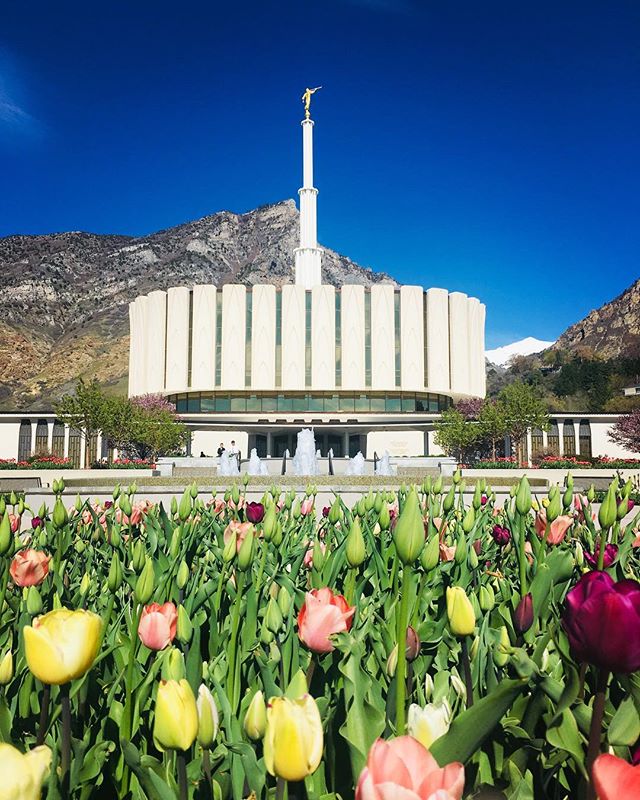 provo utah temple