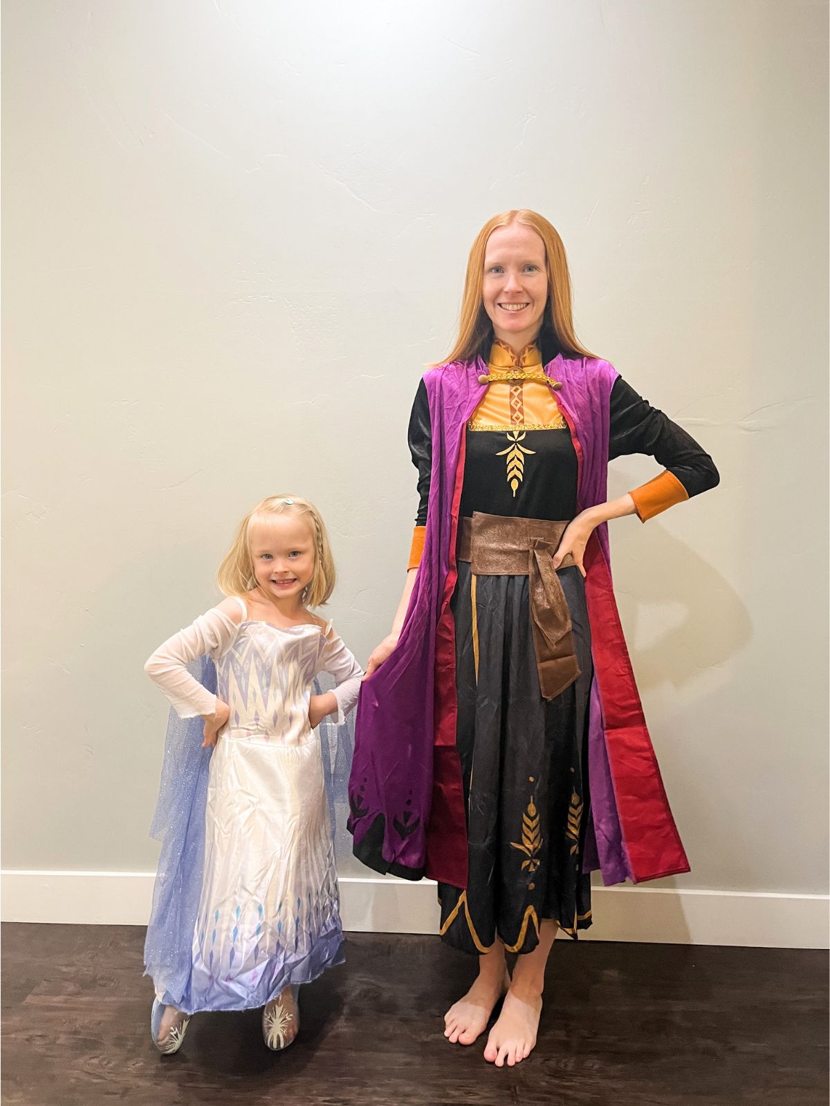 anna and elsa costumes