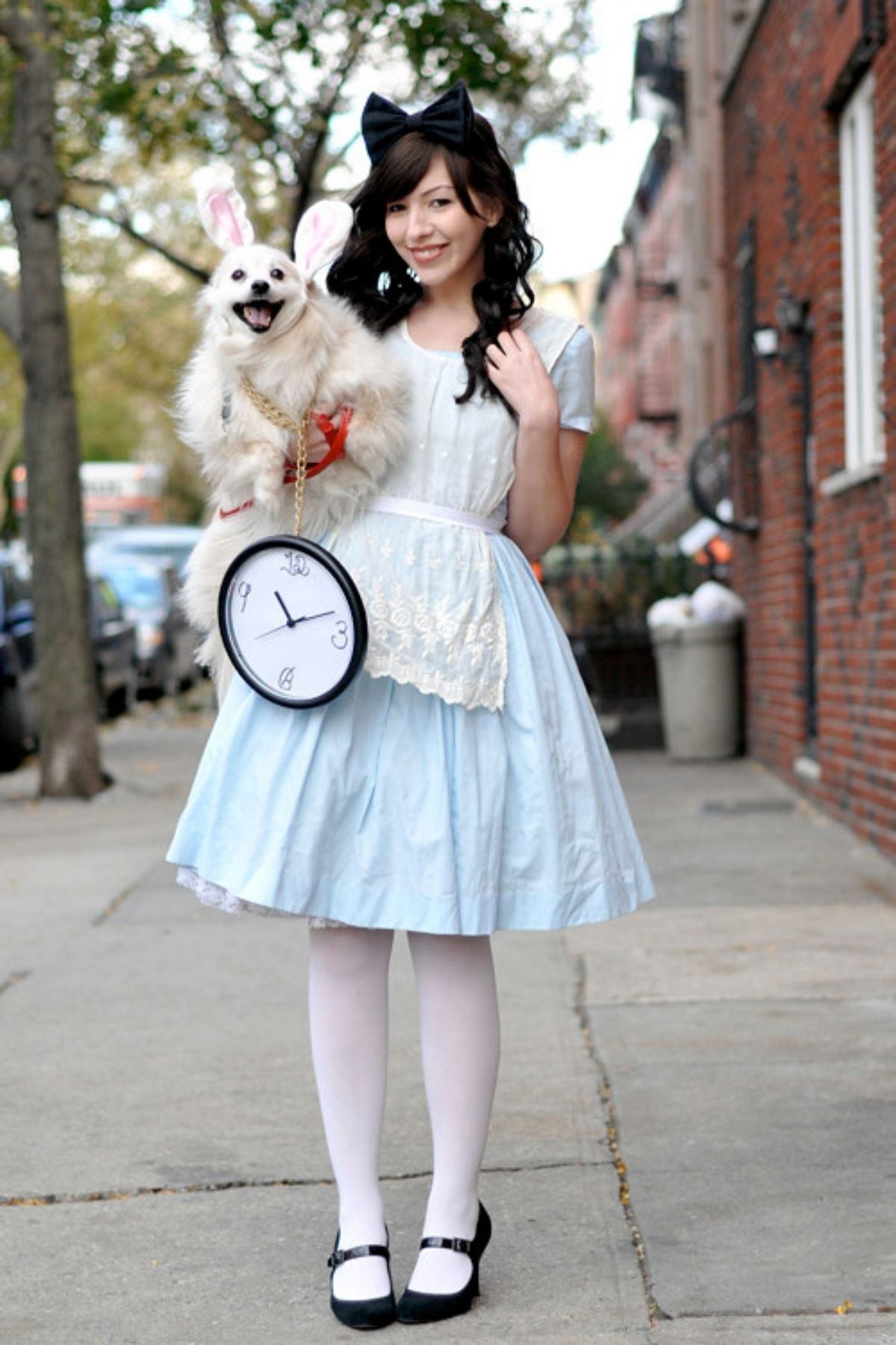 Fashionable alice in wonderland halloween costume