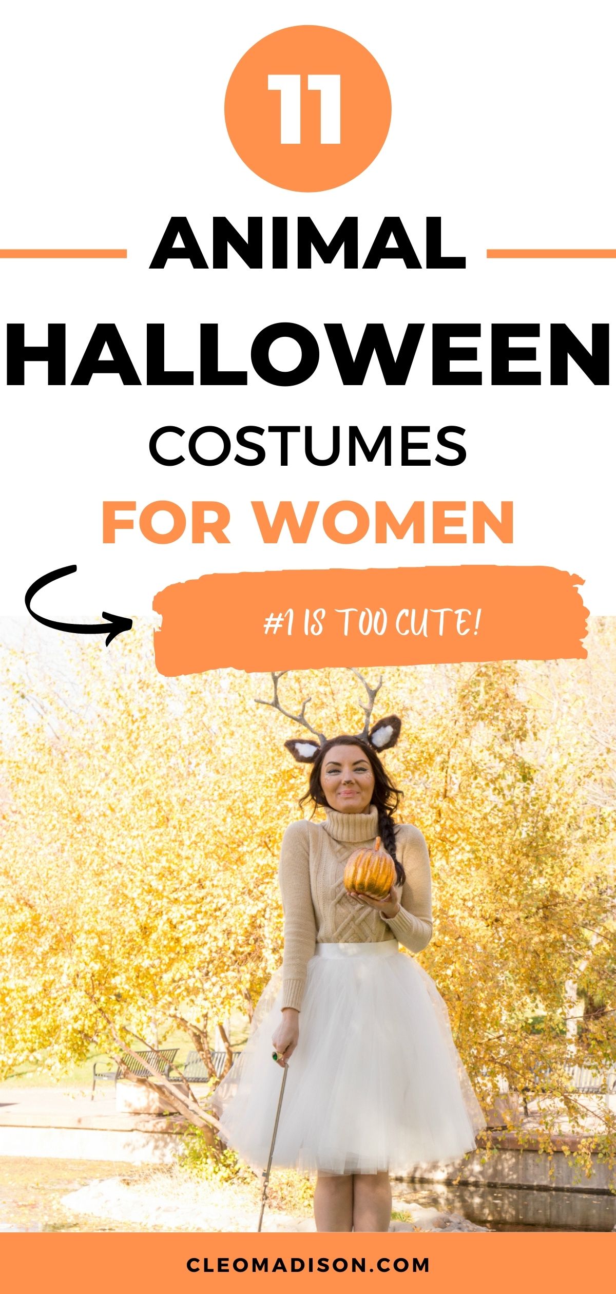 animal halloween costumes