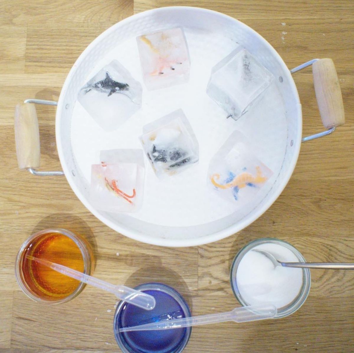 Animals Frozen In Ice Activity