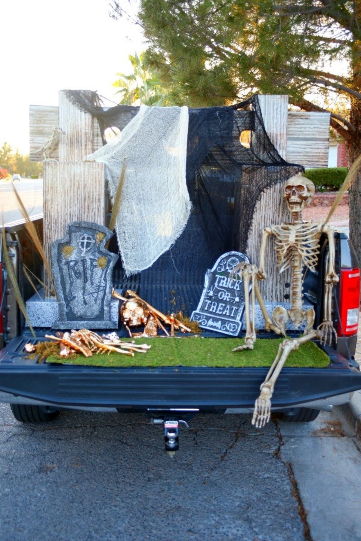 Cemetery Trunk