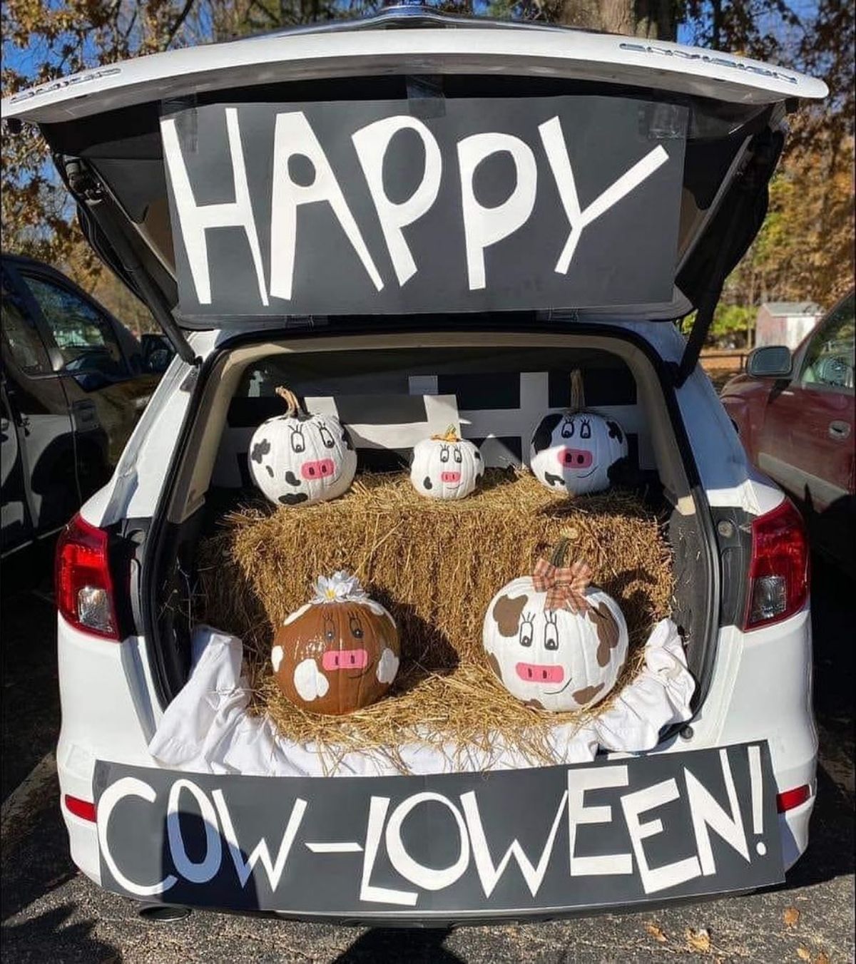 Cow Car