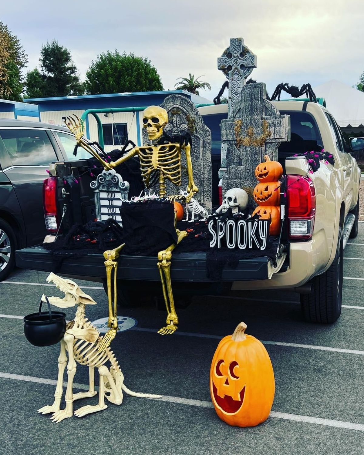 Skeleton Trunk