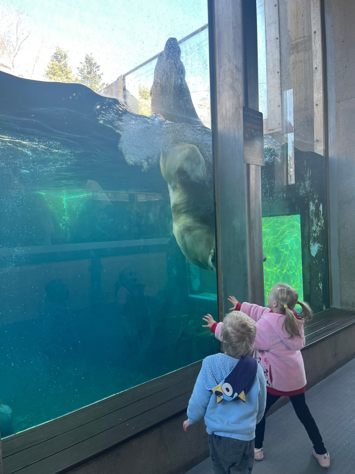 hogle zoo