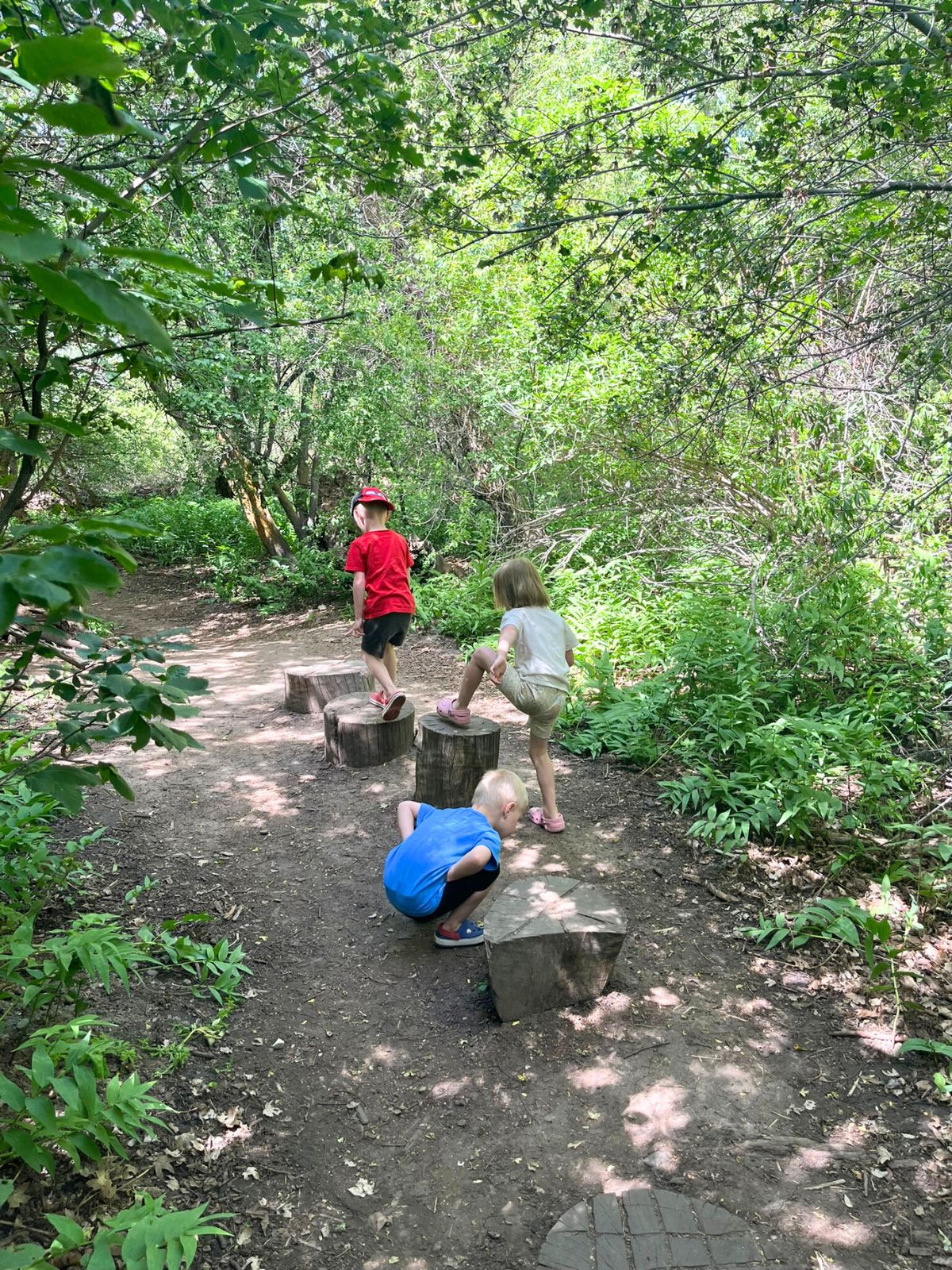 jungle trail