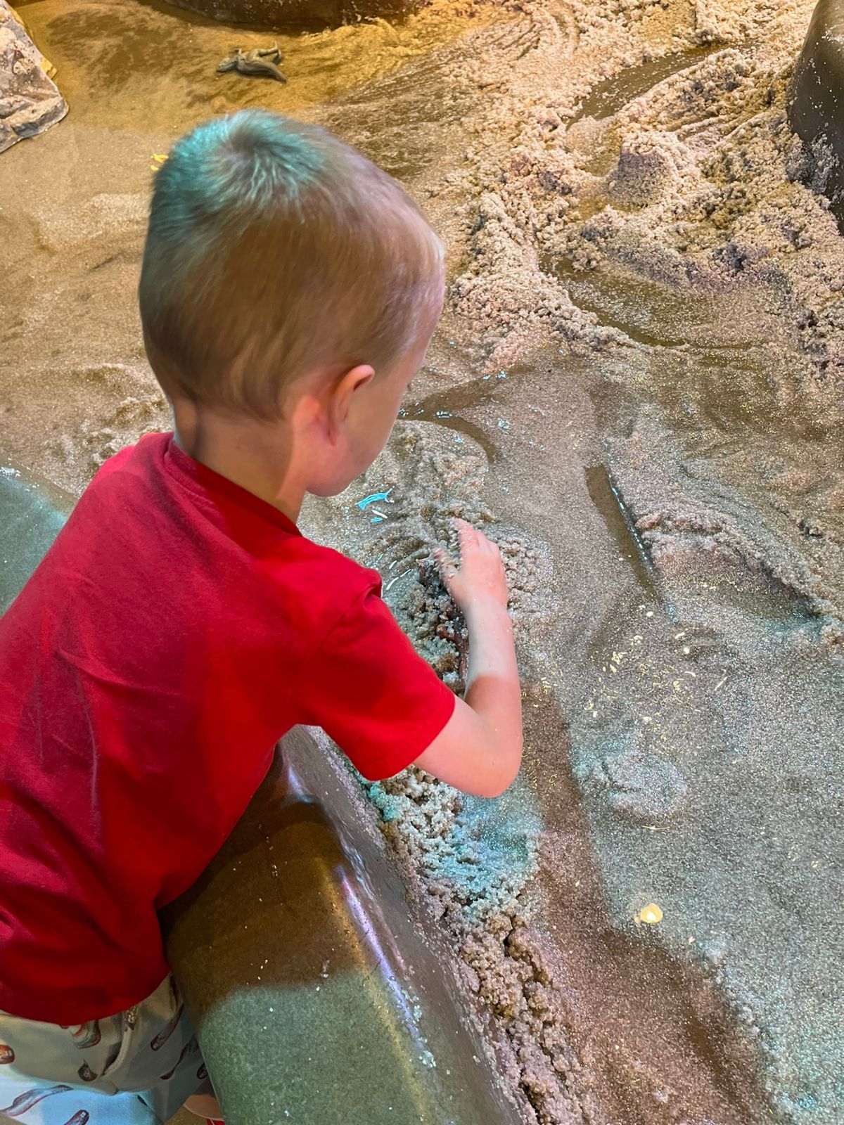 museum of ancient life