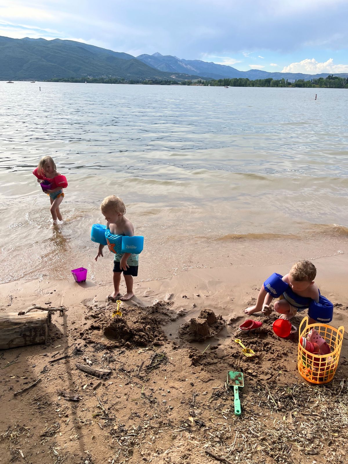 pineview reservoir
