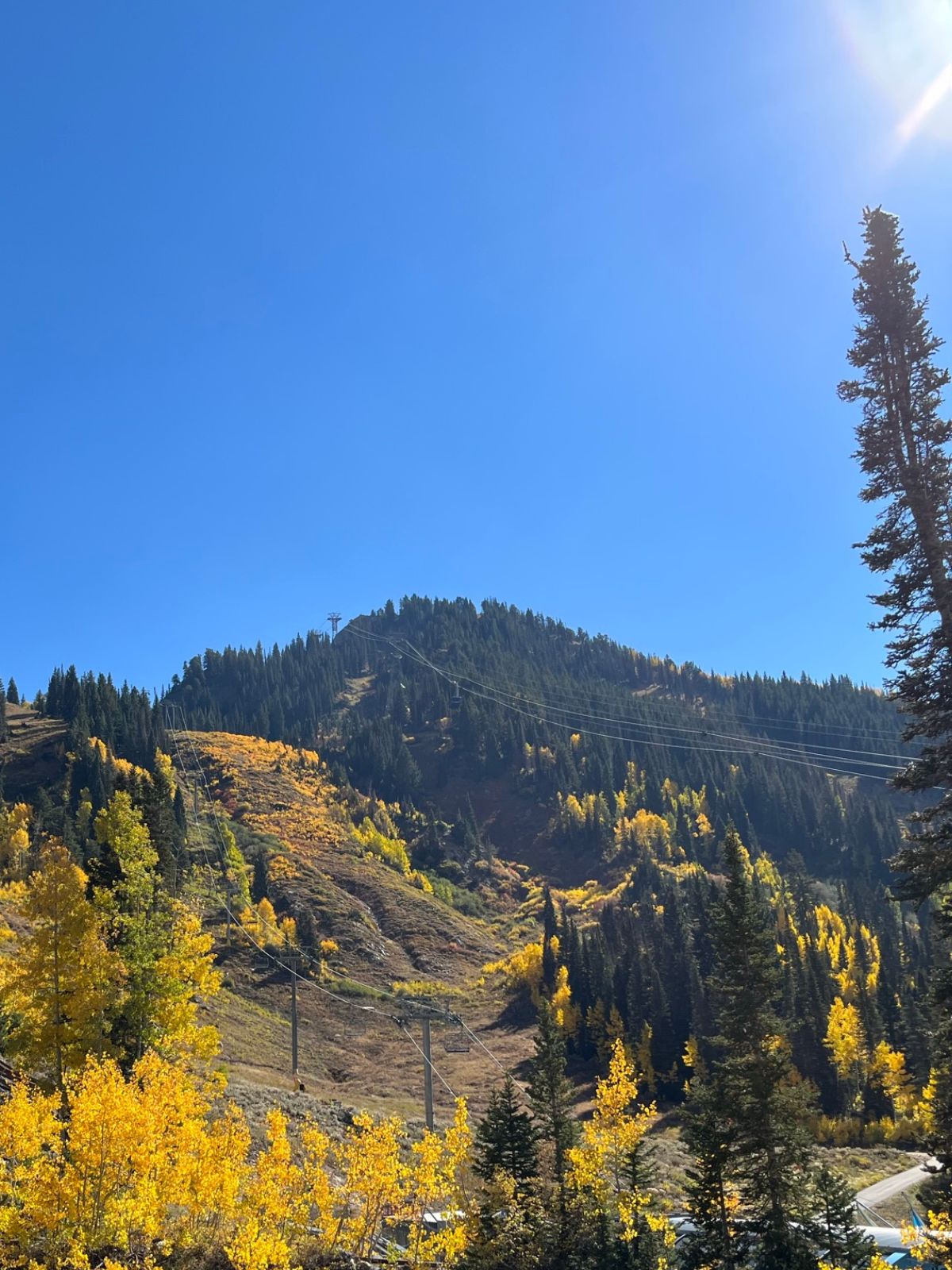 snowbird tram