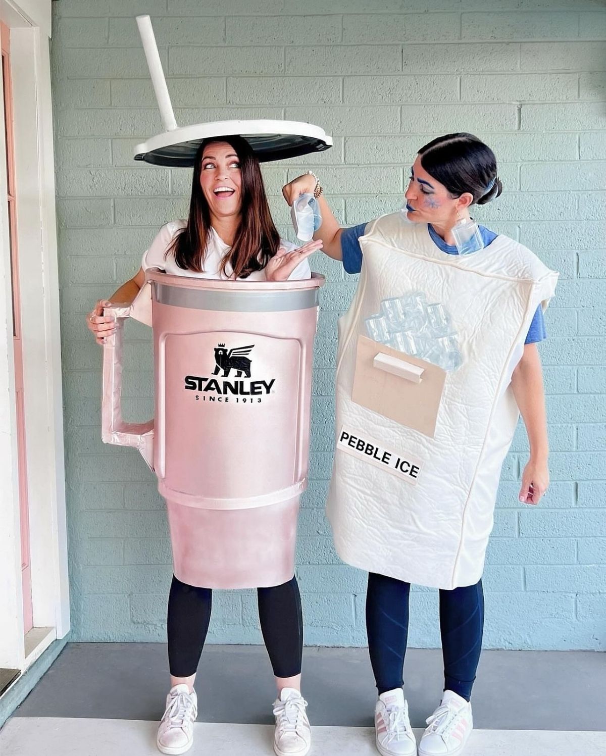 Stanley and Ice Costumes