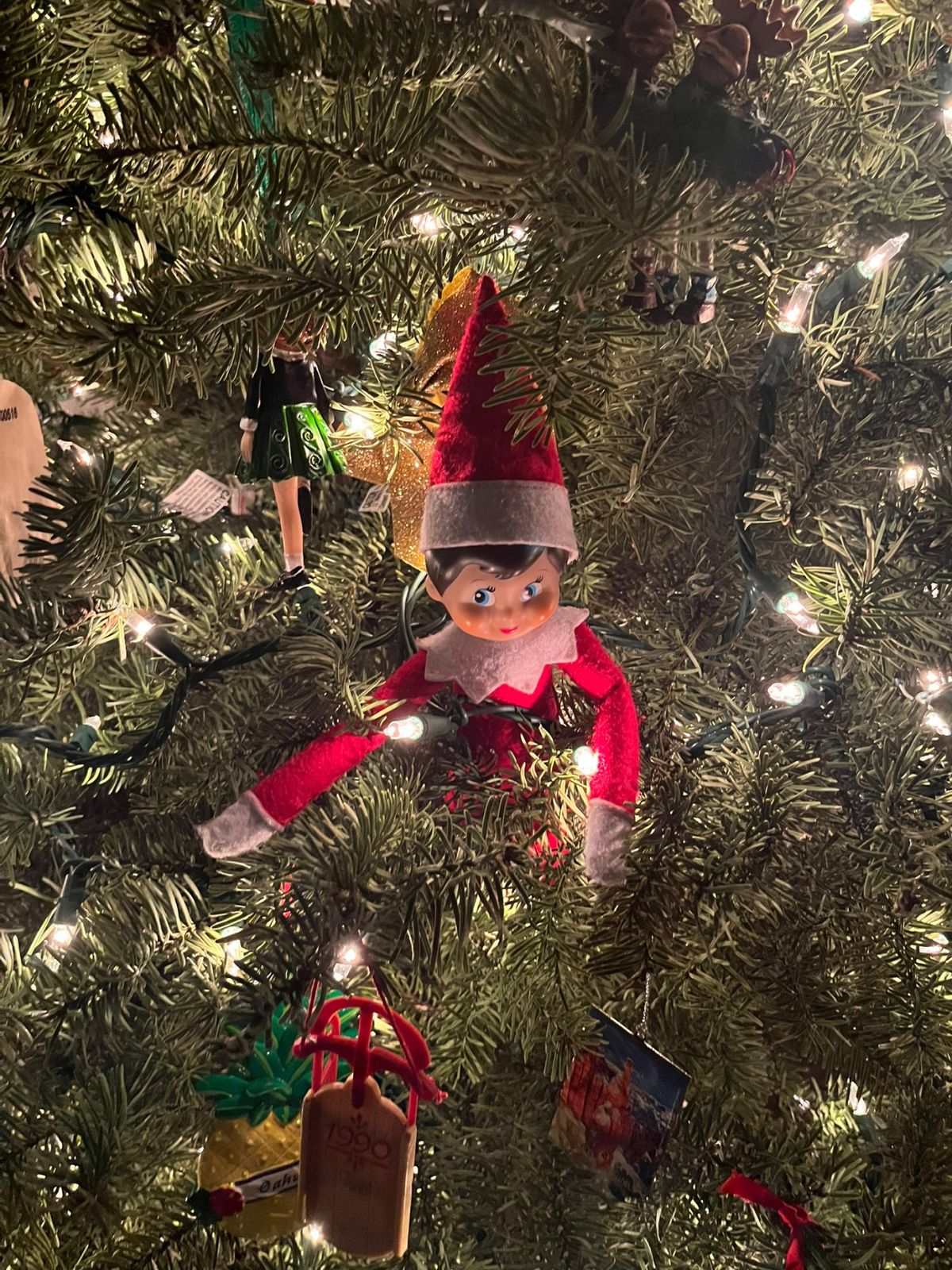 elf hiding in the christmas tree