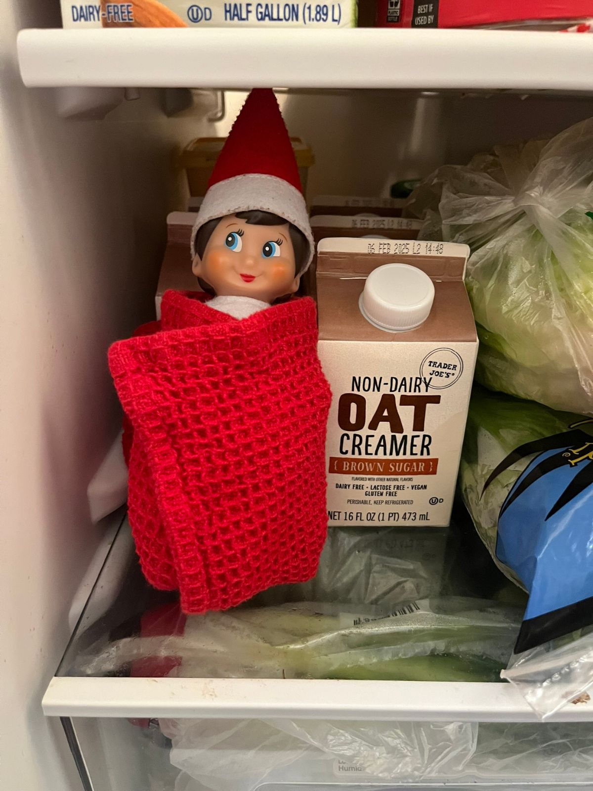 elf in the fridge
